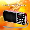 Y-501 FM Radio Digital Support TF Card USB AUX Portable LED Flashlight