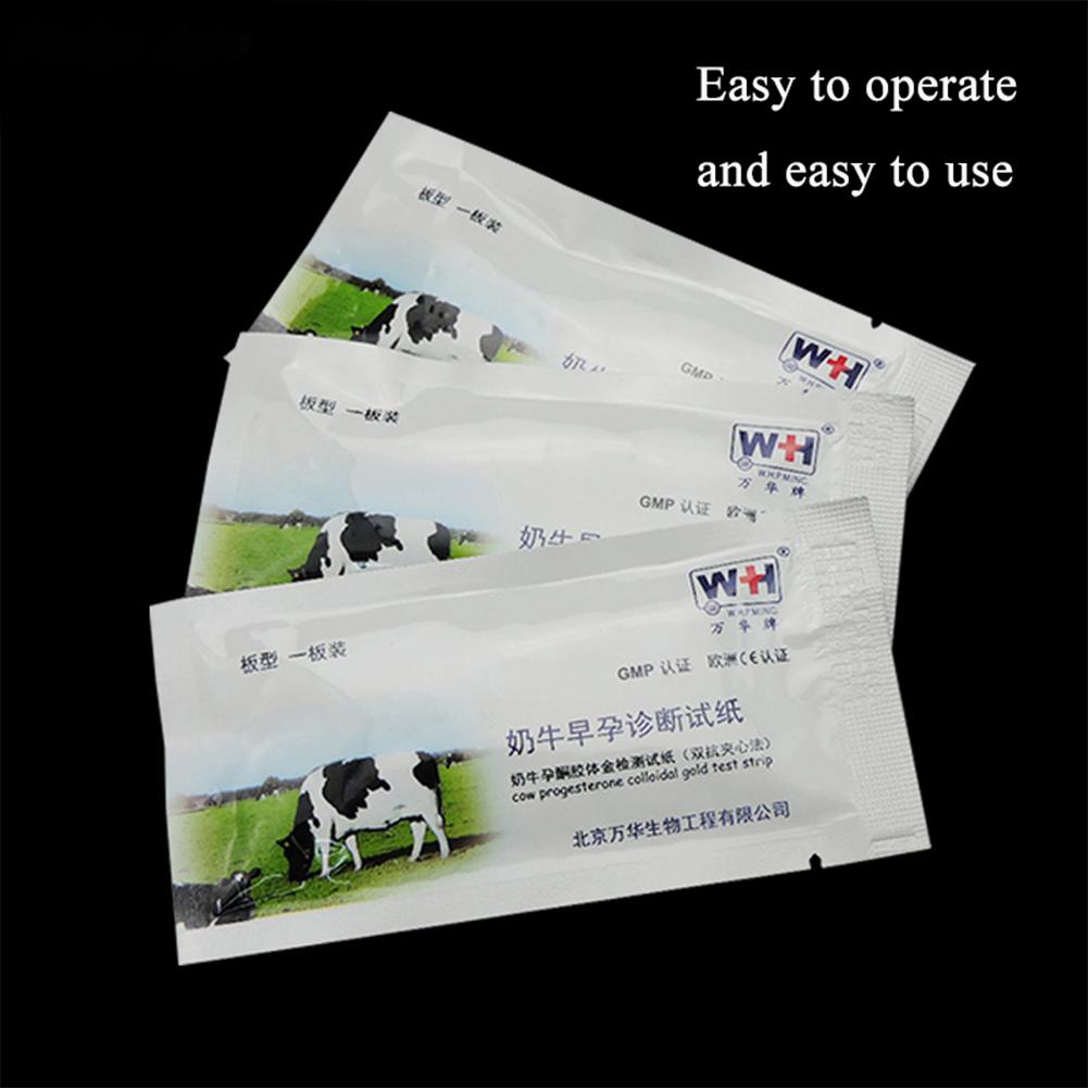 Cow    Test  Paper High Accuracy Livestock Disposable Early Pregnant Detection Testing Tool Veterinary Farm Equipment