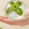 Ice Cream Design Foldable Ice Ball Cup Leak-Proof Ice Cube Water Bottle Ice Cube Kettle  Camping
