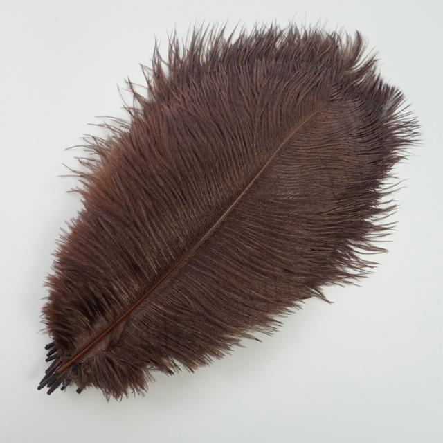 10Pcs/Lot New Colored Ostrich Feathers for Crafts White Black Feather Decor Table Centerpieces Jewelry Handicrafts Decoration