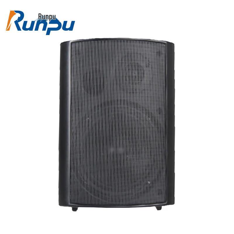 Runpu Professional Active Conference Speaker System (CN Version)