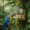 Transparent Bird Feeding Container Hanging Water Dispenser Bird Cage Feeder Waterer  Cockatiel