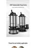 Pompe à eau submersible domestique haute puissance en acier inoxydable 220V pour usage agricole et d'eaux usées