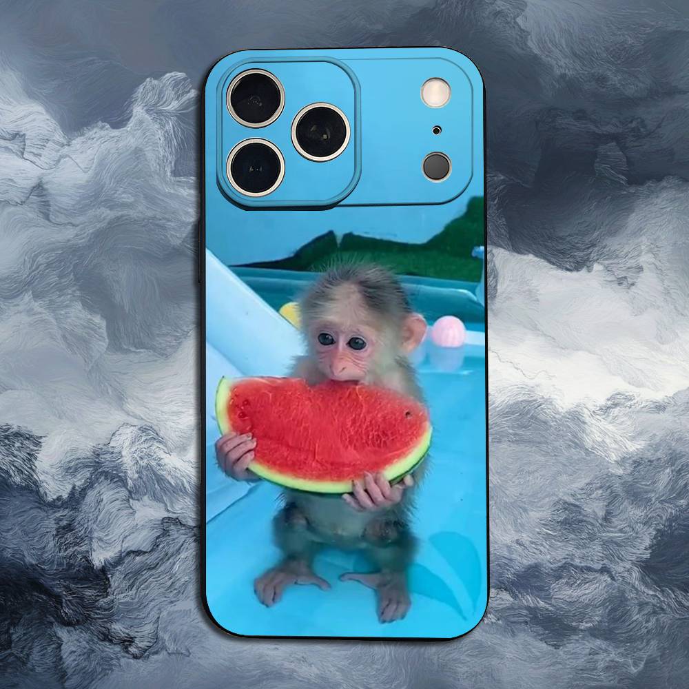 Cute Funny Monkey For iPhone 12,14,13,15,8,7,16,11,17,X,Mini,Plus,Pro,XR,SE,XS,Max,Soft Silicone Black Case