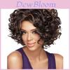 Women's Short Hair Full Wig Natural Curly Wavy Synthetic Wig For Cosplay Parties