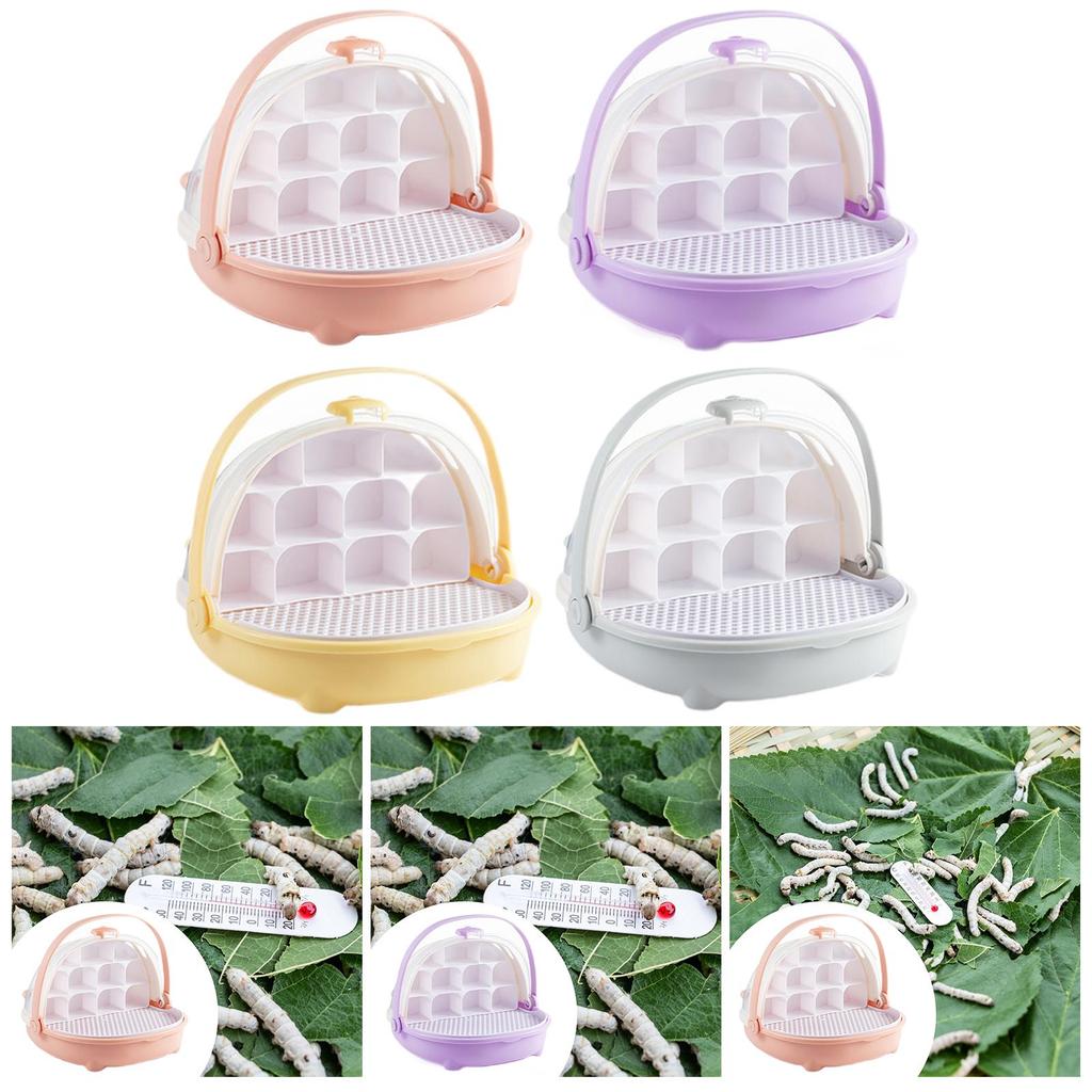 Silkworm Breeding Box Breathable Development Toy Easy to Observe Portable for Silkworms Turtles Transparent Breeding Tank