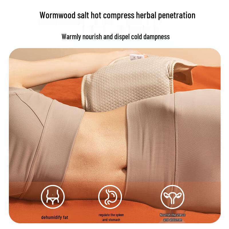 CLORIS Sea Salt Hot Compress Waist Massager CN plug (adapter included)