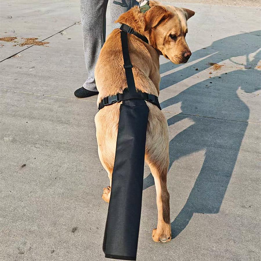 Adjustable Dog Tail Protector: Injury, Hair Loss, Grooming Aid, Anti-lick/Bite Guard