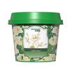 Camellia Scent Air Freshener Gel: Eliminates Mold, Strange Odors, Smoke, & Elderly Smell