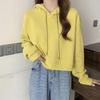 2024 Women's Autumn High-Waist Hooded Sweatshirt - Trendy Korean Style Long Sleeve Pullover