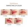 Perfecting Lip Color NO.460 Berry 3g Korean Luxe Brand Store