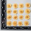 12 PCS/Set Pressed Dried Flowers for Scrapbooks Making Natural Flower For Epoxy Resin Pendant Necklace Jewelry Making Craft