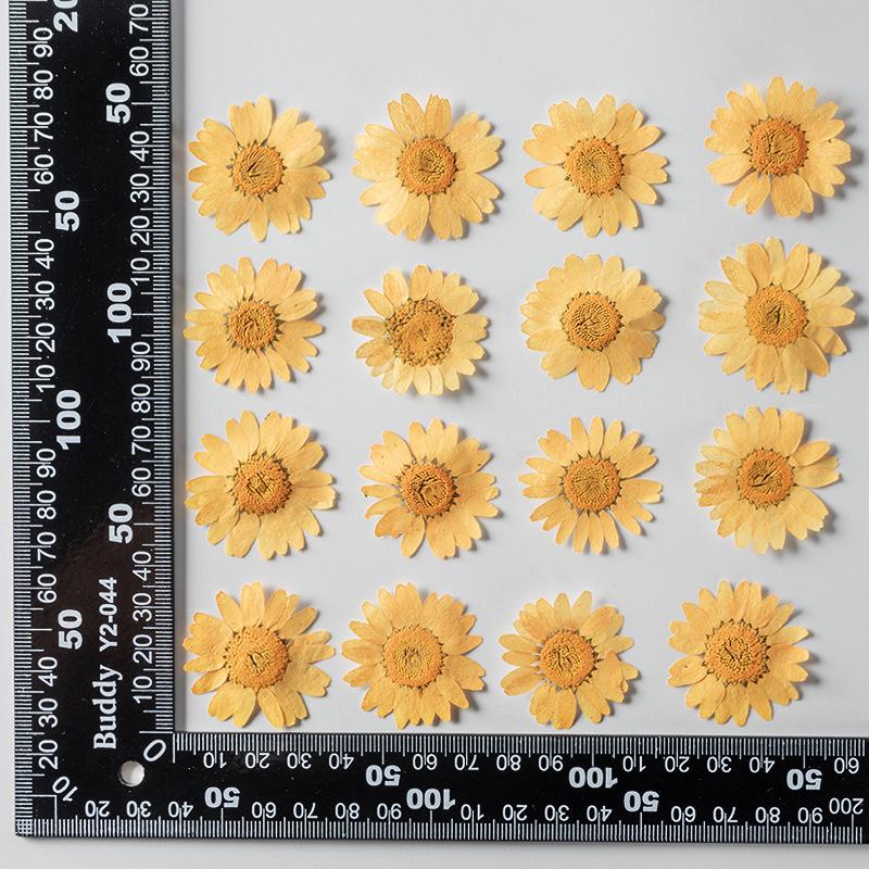 12 PCS/Set Pressed Dried Flowers for Scrapbooks Making Natural Flower For Epoxy Resin Pendant Necklace Jewelry Making Craft