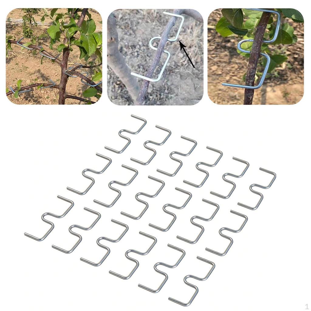 50x Bonsai-Aststütze Bieger Stark Einfach zu bedienen Baumformer für Garten Bauernhof Obstgarten