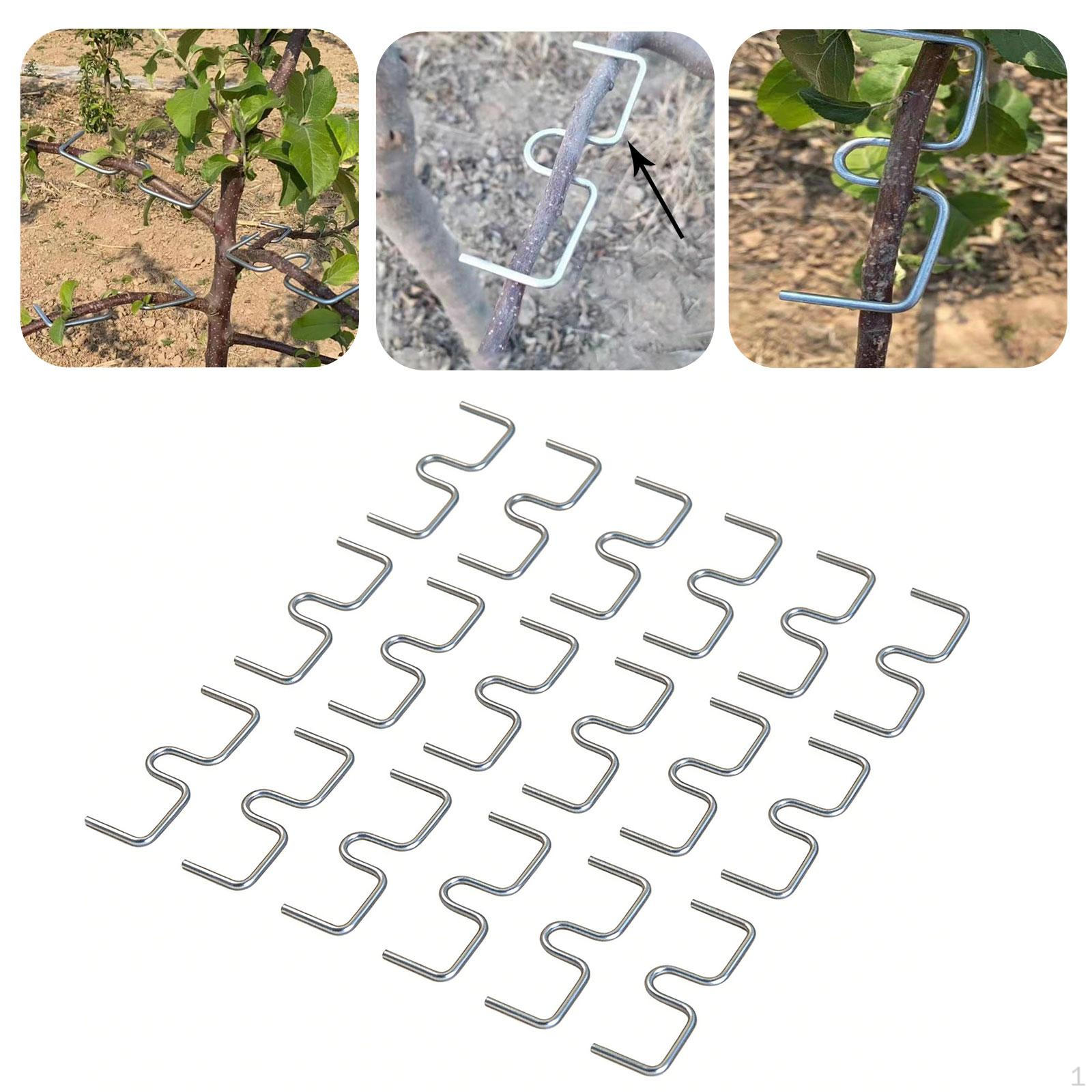 

10Pcs Tree Branch Puller Plant Bender for Fruit Trees Orchard Plants
