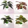 Bicolor Simulated Caladium Artificial Green Plant Potted Indoor Decoration