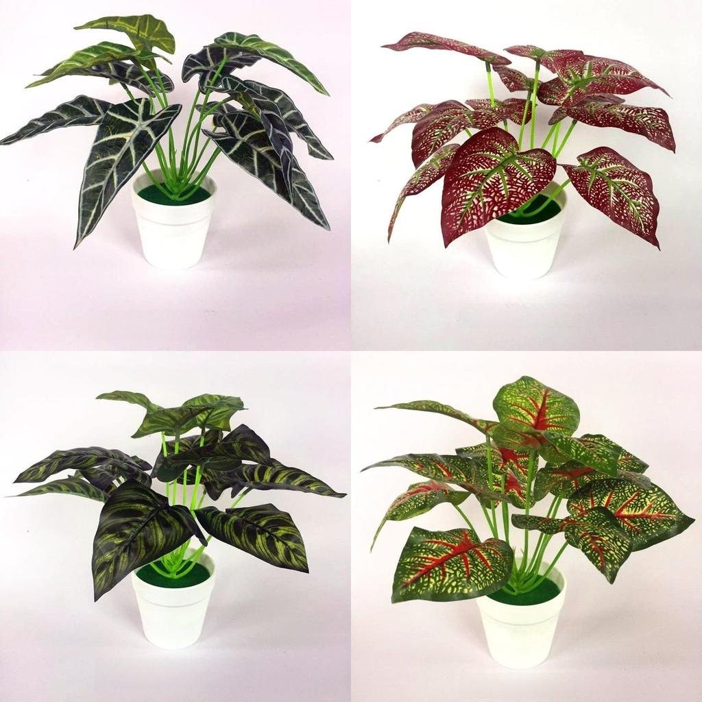 Bicolor Simulated Caladium Artificial Green Plant Potted Indoor Decoration