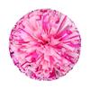 Cheerleading Hand Flower Pom Poms for Dance and Performance