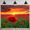2D HD Red Poppy Flower Field Backdrop, Sunset Sky Floral Photo Background Cloth