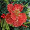 Sparkling Christmas Flower Decorations, DIY Christmas Trees, Hollow Flower Arrangement Accessories, Simulated Flower Ornaments