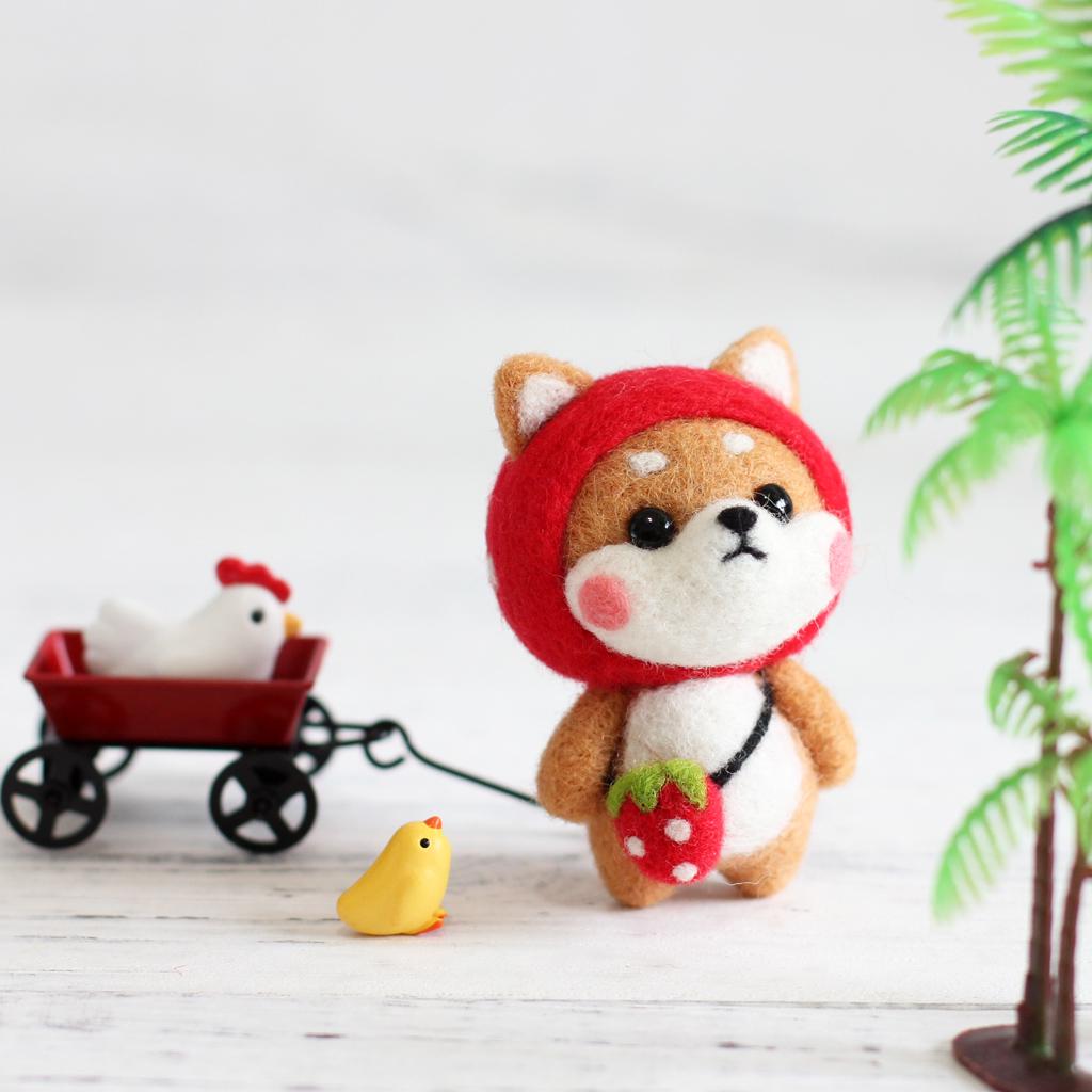 Felting Kit DIY For Beginners With