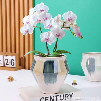 European-Style Hand-Painted Ceramic Flower Pot for Phalaenopsis - Luxurious Decorative Piece for Balcony or Living Room