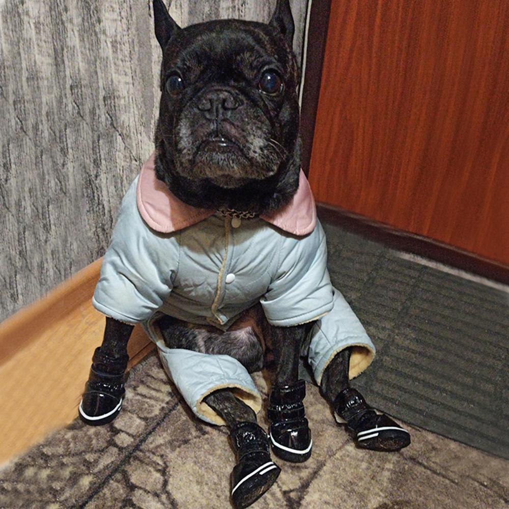 Acheter 4 pièces/ensemble chaussures imperméables pour chien de compagnie  hiver chaud chien bottes de neige chaussures en cuir PU pour petits chiens  Chihuahua chaussures anti-dérapant chiot chaussures pour animaux de  compagnie |, image size:1000x1000