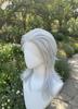 Ashely Sliver Gray Wig Cosplay Shoulder Length Mullet Wigs Layers Ponytail 13x4 Synthetic Lace Front Wig for Women Glueless Wigs