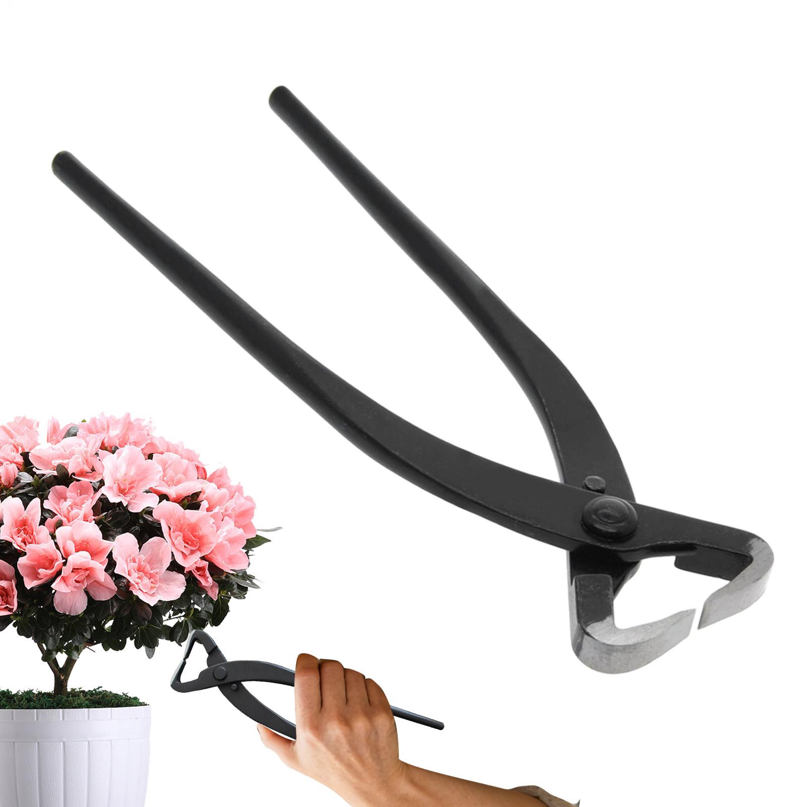 

Bonsai Scissors Rod Breaking Pliers Steel Non Slip Handle Pruners Bonsai Branch Cutter Stem Breakers Branch Shears For Flowers China Mainland