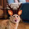 Soft Pet Antlers Headwear Adjustable Pet Reindeer Cap Cat Antlers Headband  Christmas