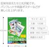 KOKUYO (KOKUYO) Color Laser Color Copy Double Sided Printing Semi Gloss A3 100 Sheets LBP-FH1830