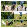 Strong Stitching Three Way Dog Leash Nylon Fabric Dog Split Leash Dog Triple Leash  Park Travel