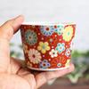 Waza no Kura Stylish Kutani Ware Soba Choko (Soba Cup) with Plum and Chrysanthemum Crest, Ceramic, Brand Name, Japanese Tableware, Made in Japan