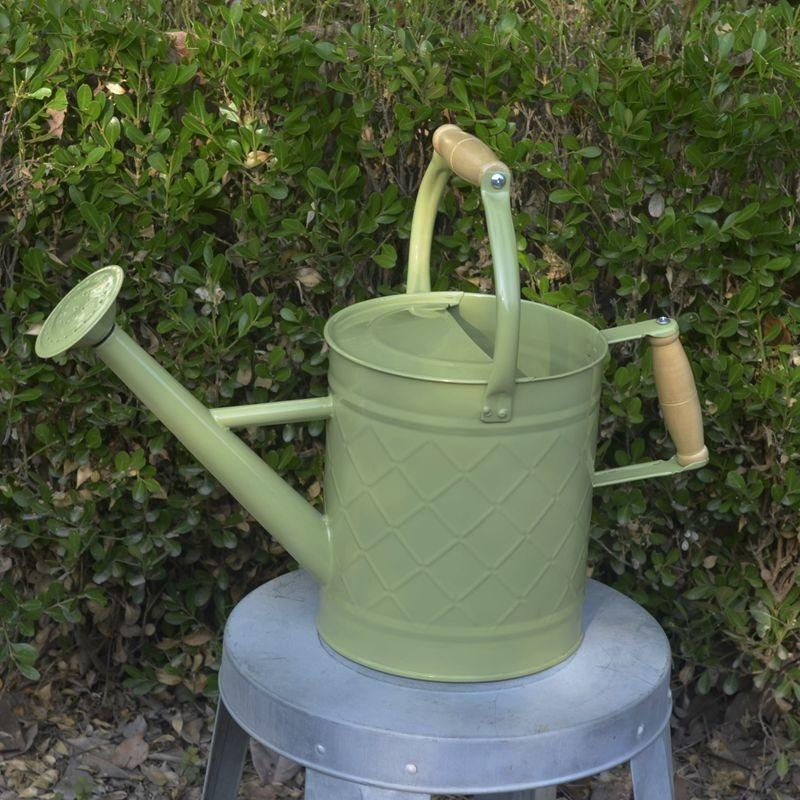 Large-Capacity Dual-Use Iron Watering Can: Ideal for Home Flower Care, Vegetable Planting, and Gardening Spraying.