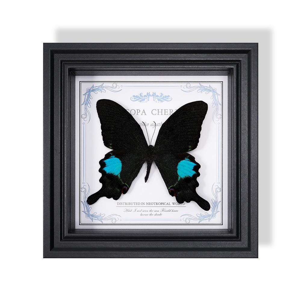 Wall-Mounted Butterfly Specimen Photo Frame: Home Decor & Gift for Valentine's Day, Qixi, Birthday, Couples & Insect Lovers