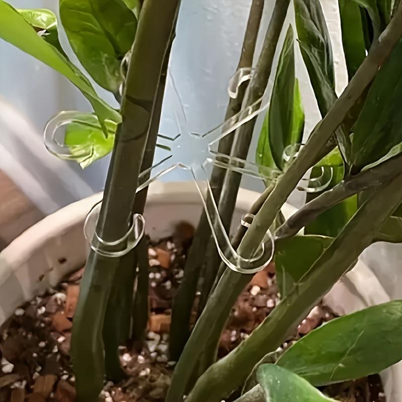 Pflanzenstiel-Stützklammern, Blumenstiel-Sammlerrahmen, Stützfixierer - Kippsicher, Hydroponischer Astbefestigungs-Topfhalter, Garten