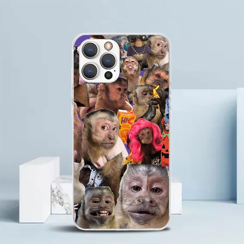 Monkey Memes Soft Cover for iPhone 16 17 Air 15 14 Pro Max 16E Phone Case 13 Mini 12 11 7 SE 8 Print Pattern Fit Cases 16 17 Air