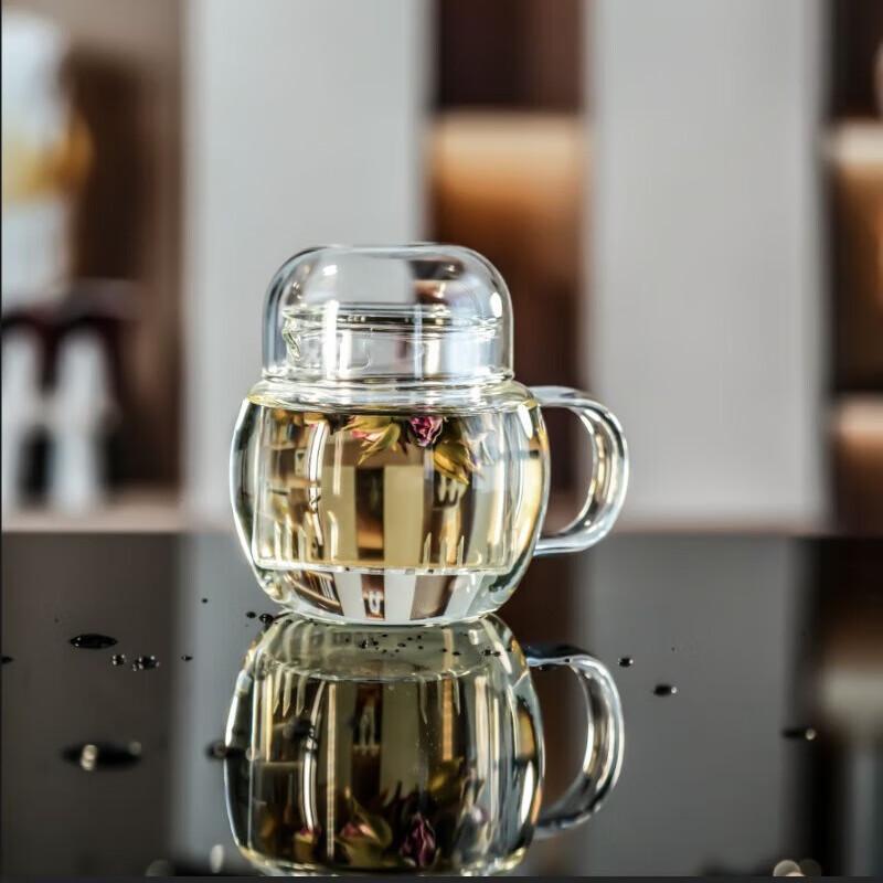 Shangqi Glass Tea Infuser Pot
