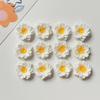 5Pcs Simulated Resin Flower Fridge Magnets Cute Magnetic Stickers Home Kitchen Decor
