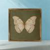 Vintage Butterfly Specimen Photo Frame Creative Simple Picture Frame Modern Personalized DIY Display Frame Birthday Gift