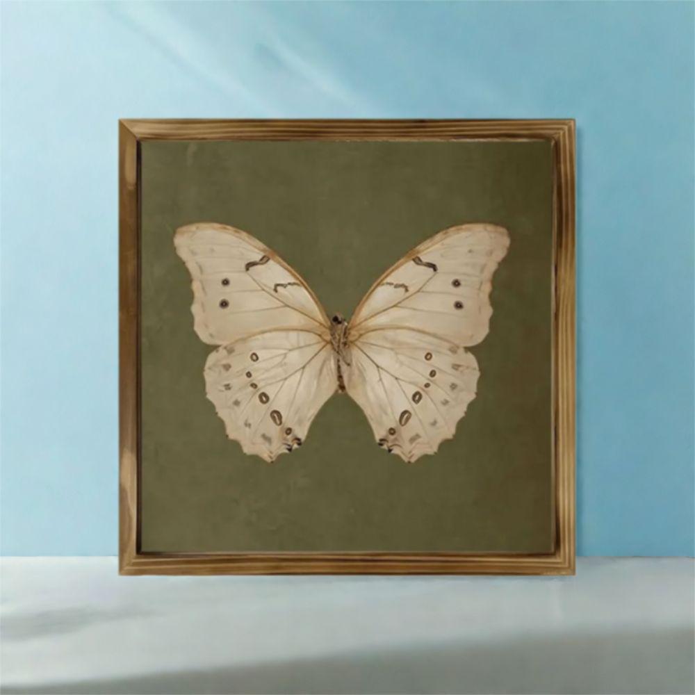Vintage Butterfly Specimen Photo Frame Creative Simple Picture Frame Modern Personalized DIY Display Frame Birthday Gift