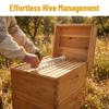 Silver Beehive Frame Spacer Durable Stainless Steel Strip Beehive Frame Strip  Apiary Management