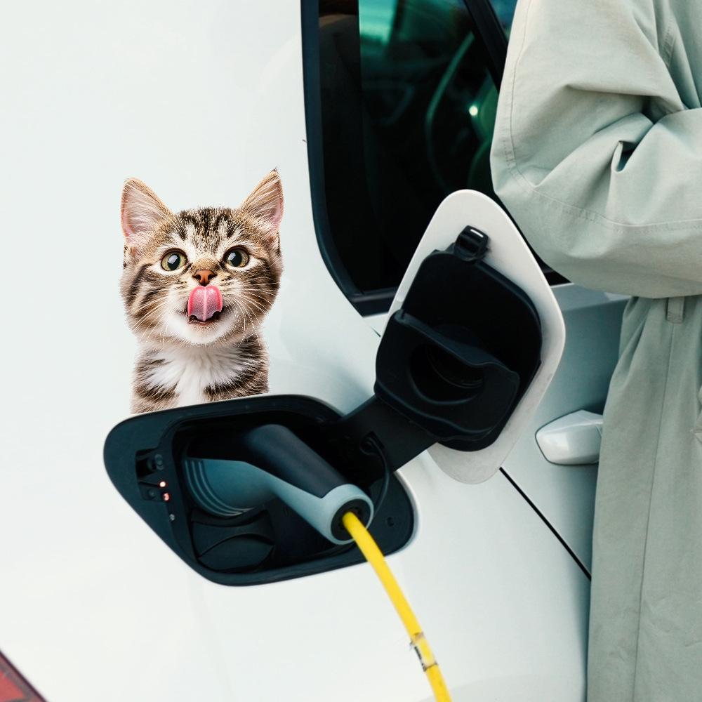 Quirky Cat Glass Car Beautification Decoration Stickers