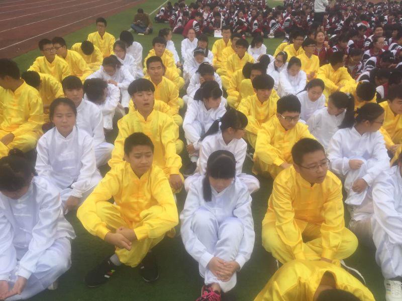 Premium Cotton-Silk Tai Chi Suit: Unisex Long Sleeve Stand Collar for Martial Arts & Morning Exercise