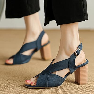 Fashion Summer Sandals Shoes for Women High Heels Large Size 45 Slingback Gladiator Sandal Blue Heeled Dance Party Shoes Ladies Footwear