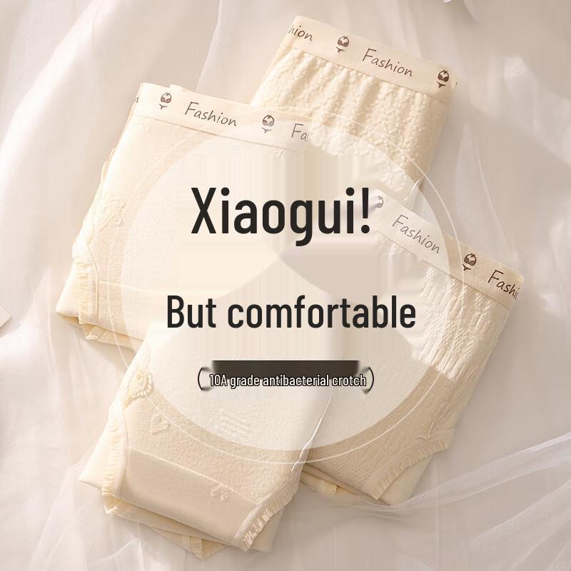 Palanduo Women's Anti-Bacterial Lace Cotton Mid-Waist Briefs 4-Pack