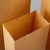Party Treat Bags Paper for Food Holding 100Pcs Beige Kraft Paper Bags