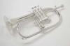 Michael Flugelhorn J. FG-550S