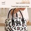 Beilian Insulated Lunch & Picnic Bag