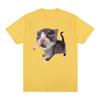 Funny Smoking Cat Meme Cigarette Kitten Graphic Tshirt Unisex Clothing Fashion Vintage Tshirts Casual T Shirts